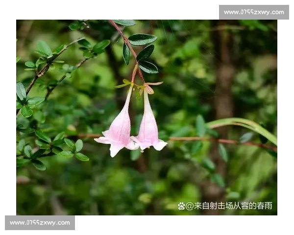白教视角:滔搏八强之路,每一秒都攥心